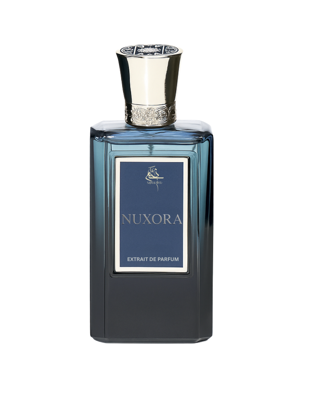 Najm Al Oud - Nuxora EDP 100 ml For Unisex
